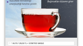 Tek sayfa yaprak siteler