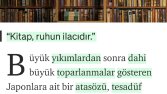 Kültür, sanat ve edebiyat alanında çeşitli yazılar yazarım
