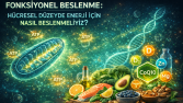 Hücresel Düzeyde Enerji İçin Nasıl Beslenmeliyiz?