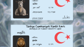 Yapılan Çalışmalar