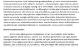 Her konuda özgün içerik