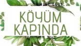 koyumkapinda