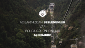Instagram'dan para kazanmak