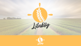 Örnek Logo Paketi