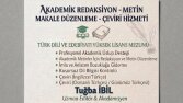 Profesyonel Çeviri