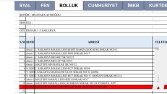 Excel Veri Girişi ve Tablo Yönetimi