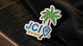 Pin Tasarımı