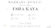  Baby Shower Tasarımı Yapabilirim