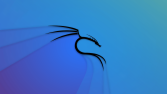 Web/Mobile Application Penetration Testing