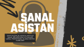 Profesyonel Sanal Asistan