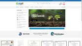 İş örneğim