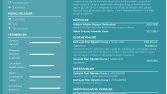 Cv Tasarımları 2
