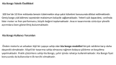 SEO Uyumlu Makale