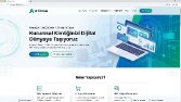 Profesyonel web siteleri