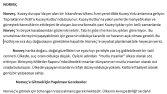 Büyüleyici Kuzey Krallığı; NORVEÇ
