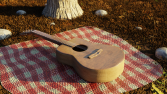 Açık havada 3d gitar modeli