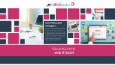 Web Tasarımı