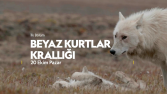 Seslendirme çalışmaları