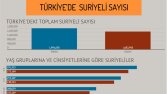 İyi bir İnfografik, bilgi ve grafiğin birleşimidir!