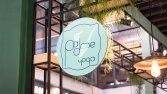 Padme Yoga - Konsept Logo Tasarımı