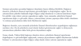 Akademik konulu metin 