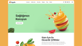 Web Sitesi Tasarımı