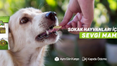 Mamanız Yolda Banner Tasarımı