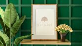 Salon İnci - Konsept  MOCKUP 