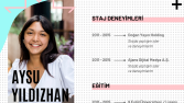 Profesyonel CV