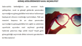 Blog Yazısı