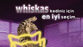Whiskas- Reklam afişi Tasarımı (Banner)