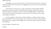 www.herseydekor.com Hakkımızda Yazısı