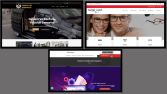 Profesyonel web sitesi tasarımları 
