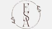 Sosyal Medya Logo Tasarımı