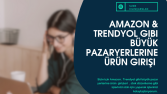 Trendyol-Ürün veri girişleri 