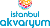 İstanbul Akvaryum CRM Projesi