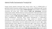 Metin Yazarlığı-Trendyol İşbirliği