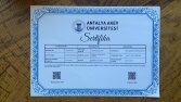 YAŞAM KOÇU.