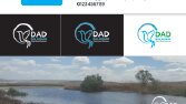 Balıkdamı Projesi İçin Özgün ve Yaratıcı Logo Tasarımı