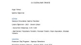 CV Düzenleme