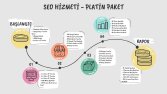 seohizmeti-platin
