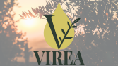 VIREA - Logo Tasarımı