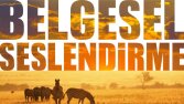 Seslendirme Çalışmaları