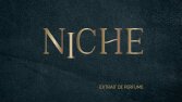 Niche Series Logo