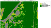 NDVI Veri Analizi ve Modellemesi