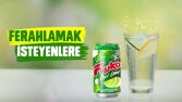 Fruko Reklam Demo