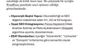 WordPress ve Teknik SEO Uyumlu İçerik Yapısı