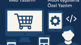 E ticaret sitesi kurulumu , Ürün girişi