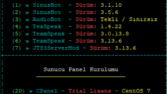 Bash Script