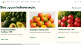 TropicSun | Shopify E-Ticaret Sitesi Tasarımı